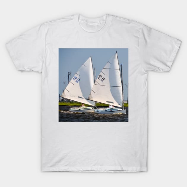 Sailing along together T-Shirt by fparisi753